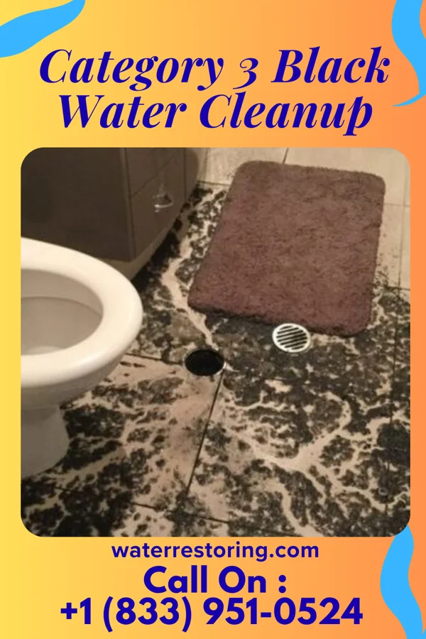 Category 3 Black Water Cleanup in Raytown, MO